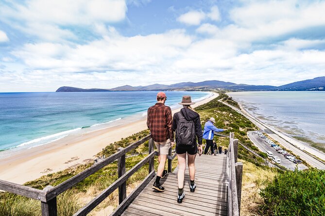 Bruny Island Food, Sightseeing, Guided Lighthouse Tour & Lunch - Crossing from Kettering to Bruny Island
