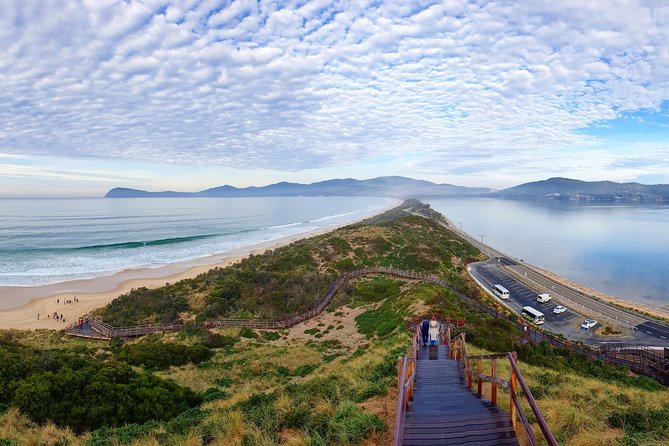 Bruny Island Food, Sightseeing, Guided Lighthouse Tour & Lunch - Adventure Bay morning tea