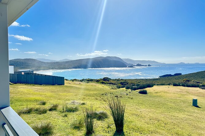 Bruny Island Food, Sightseeing, Guided Lighthouse Tour & Lunch - Mount Mangana and the rainforest drive