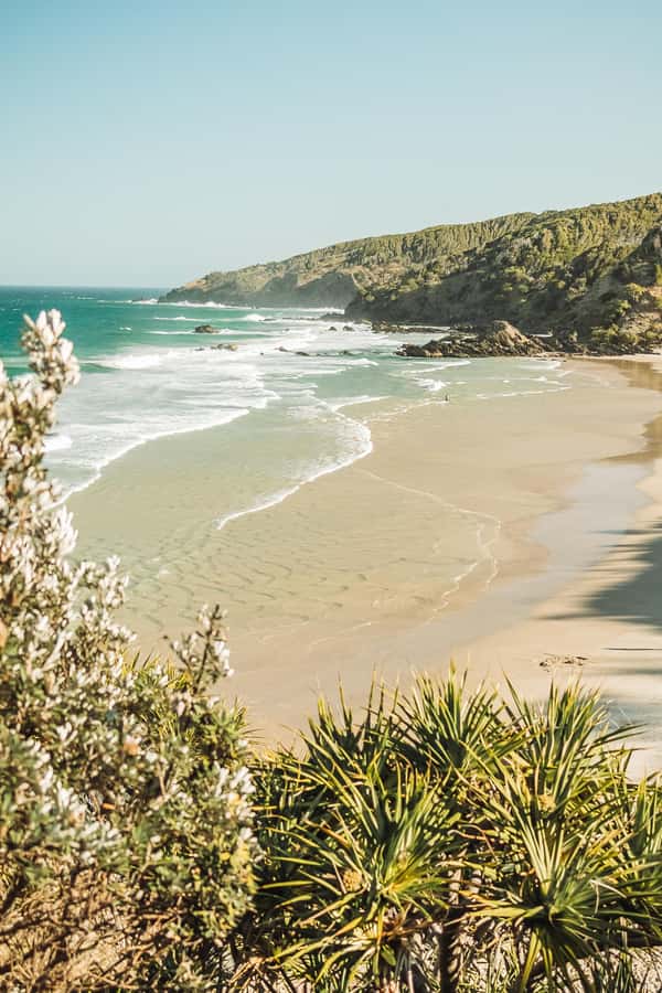 Byron Bay: Behind The Bay Waterfalls & Hidden Gems Day Tour - Lake Ainsworth and the tea-tree water