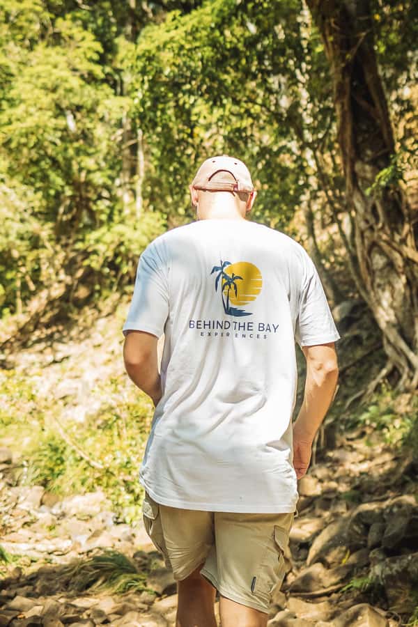Byron Bay: Behind The Bay Waterfalls & Hidden Gems Day Tour - Who should book this Byron Bay tour?