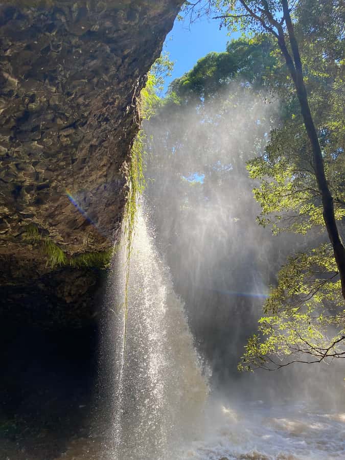 Byron Bay: Behind The Bay Waterfalls & Hidden Gems Day Tour - Killen Falls, the day’s most rewarding swim