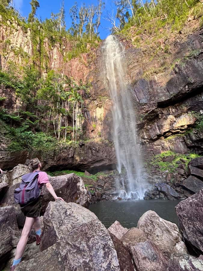 Byron Bay: Glowworms, Waterfalls & Rainforest Experience - Key points to know before booking