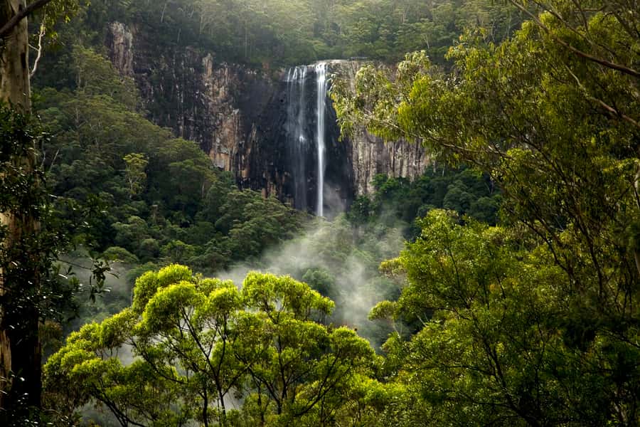 Byron Bay: Glowworms, Waterfalls & Rainforest Experience - Dinner in the Nightcap National Park