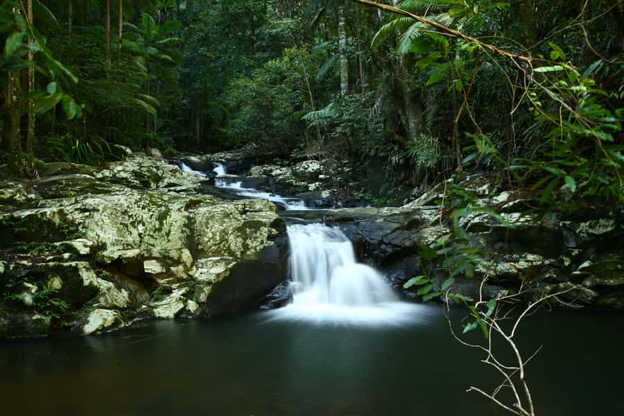 Byron Bay: Glowworms, Waterfalls & Rainforest Experience - Who will enjoy this Byron Bay outing?