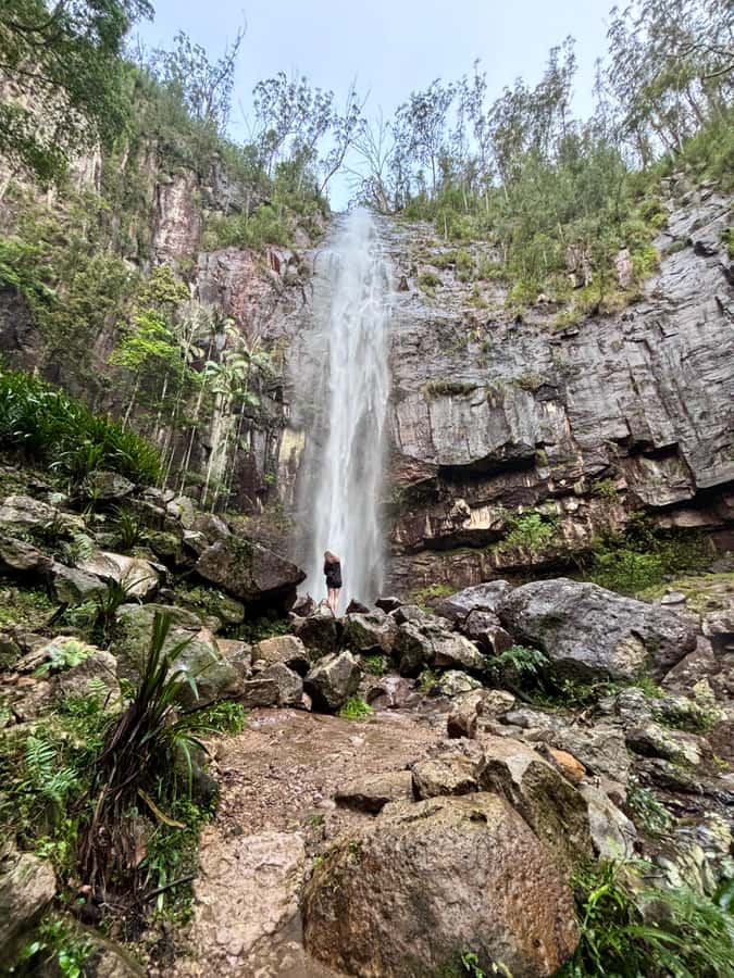 Byron Bay: Glowworms, Waterfalls & Rainforest Experience - From Byron Visitor Centre to the first lookout