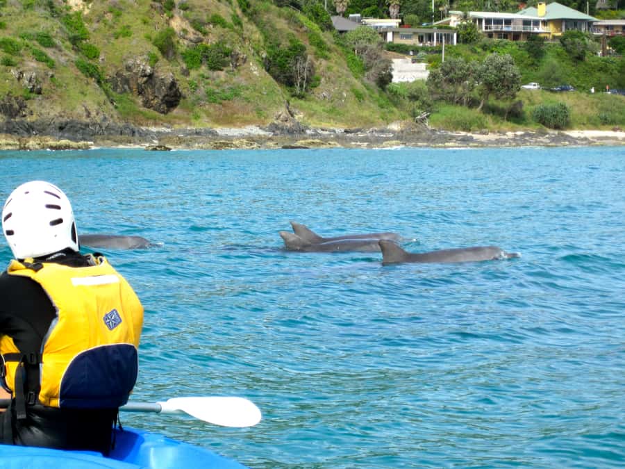 Byron Bay: The Byron Bay Sea Kayak Tour - Paddling past reefs, beaches, and the lighthouse