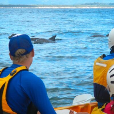 The Byron Bay Sea Kayak Tour