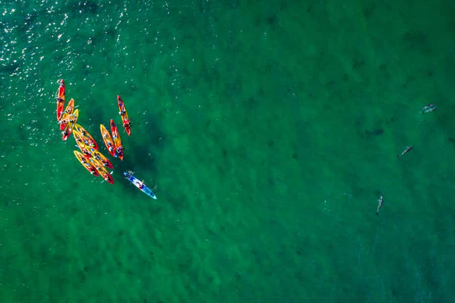 Byron Bay: The Byron Bay Sea Kayak Tour - Surfing the kayak back toward shore