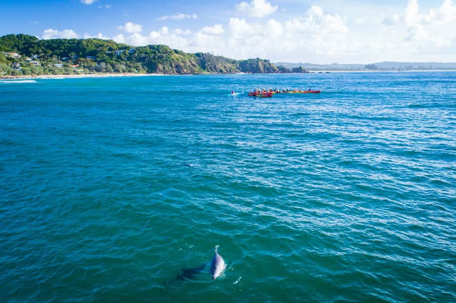 Byron Bay: The Byron Bay Sea Kayak Tour - Timing, weather, and small details that matter