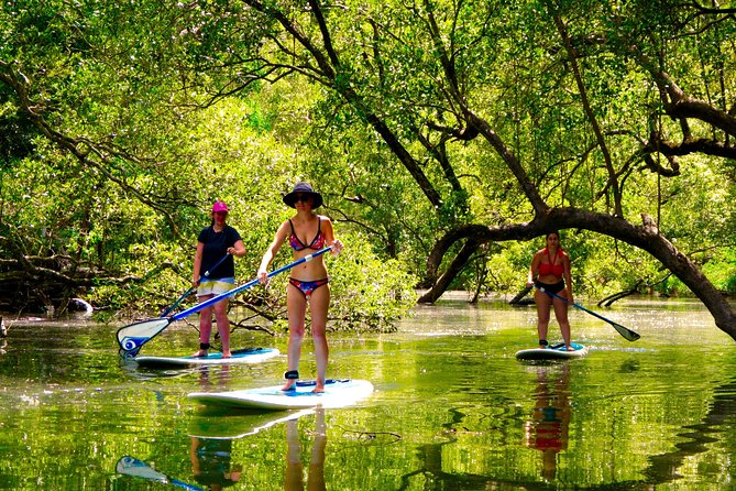 Byron Stand Up Paddle Nature Tour - Paddling the Brunswick River through Cape Byron Marine Park