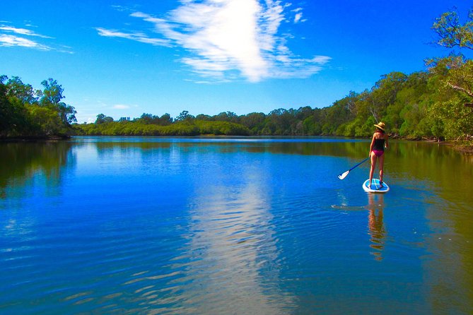 Byron Stand Up Paddle Nature Tour - Who will get the most from this two-hour tour