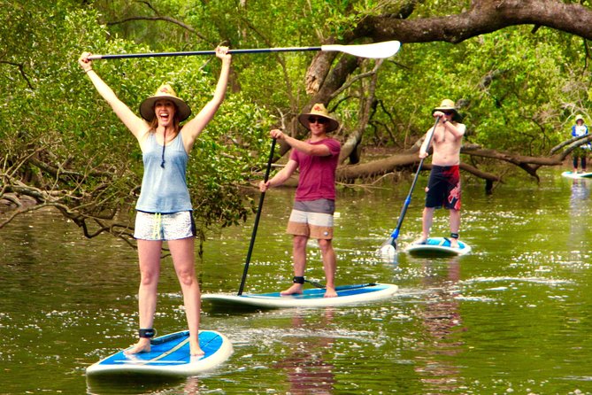 Byron Stand Up Paddle Nature Tour - The first lesson makes SUP less intimidating