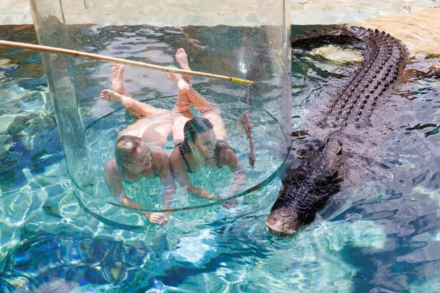"Cage Of Death" Crocodile Swim and Entry to Crocosaurus Cove - The Cage of Death at Crocosaurus Cove