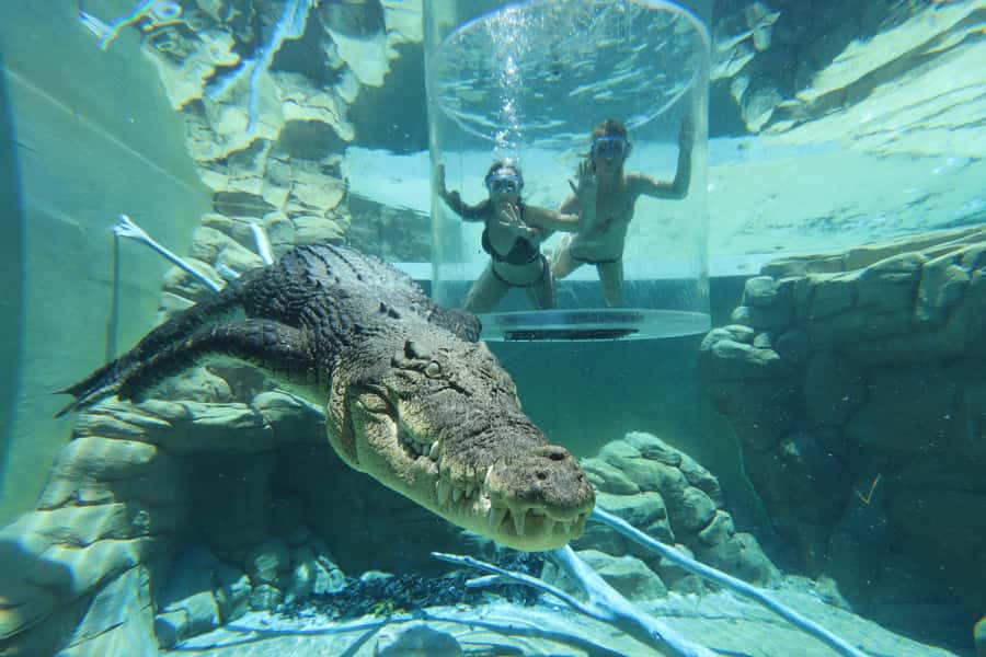 "Cage Of Death" Crocodile Swim and Entry to Crocosaurus Cove - Changing rooms, showers, and useful preparation