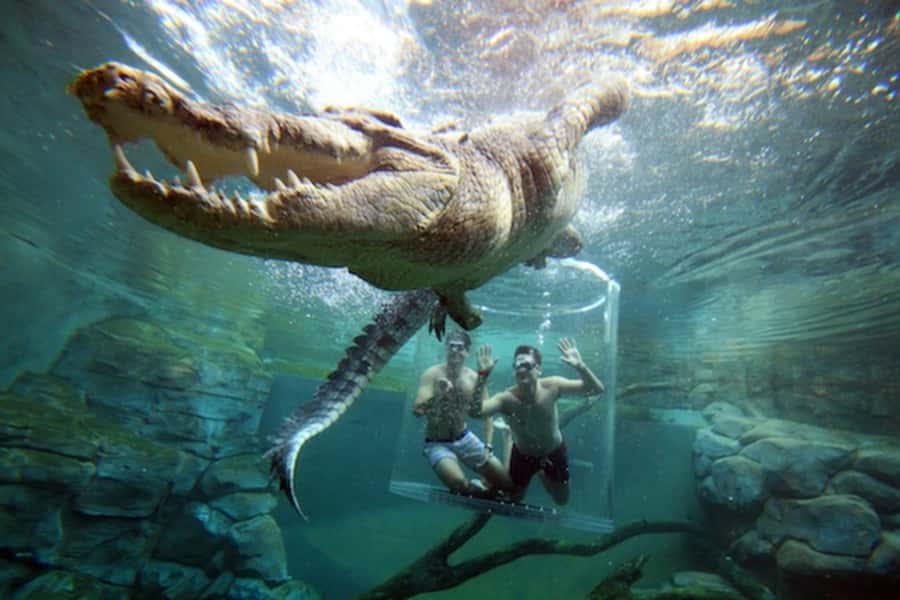 "Cage Of Death" Crocodile Swim and Entry to Crocosaurus Cove - The monorail ride into the crocodile enclosure