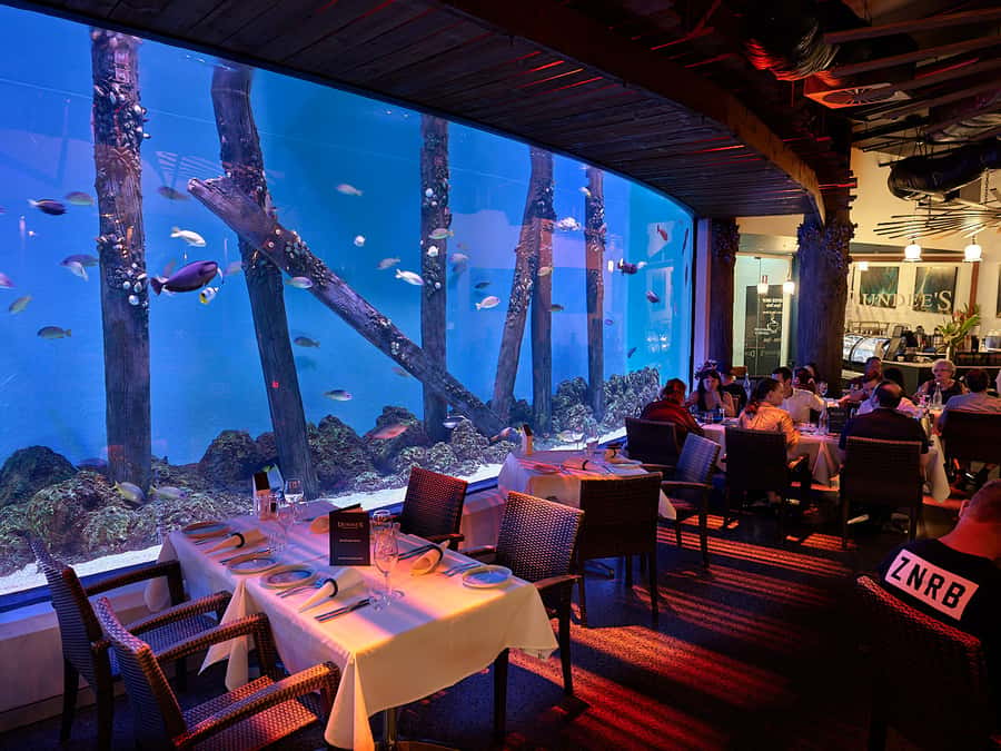 Cairns Aquarium General Admission Ticket - From rainforest streams to the Coral Sea