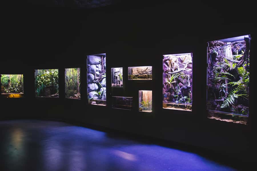 Cairns Aquarium General Admission Ticket - Practical planning for your Cairns visit