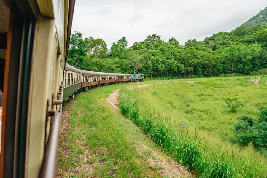 Cairns: Best of the Kuranda Rainforest Full-Day Tour & Lunch - Koalas, kangaroos, and rare Australian animals