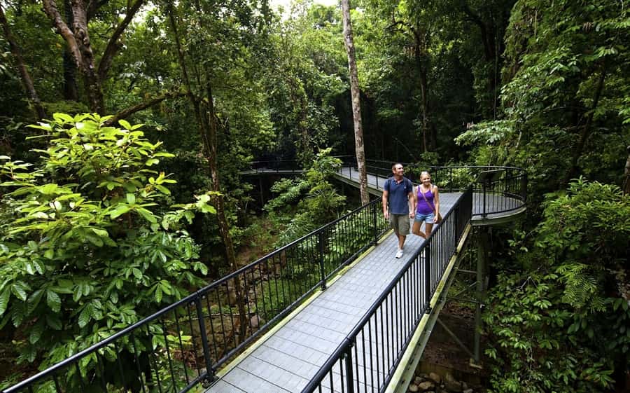 Cairns: Cape Tribulation, Mossman Gorge & Daintree Day Tour - Key points at a glance