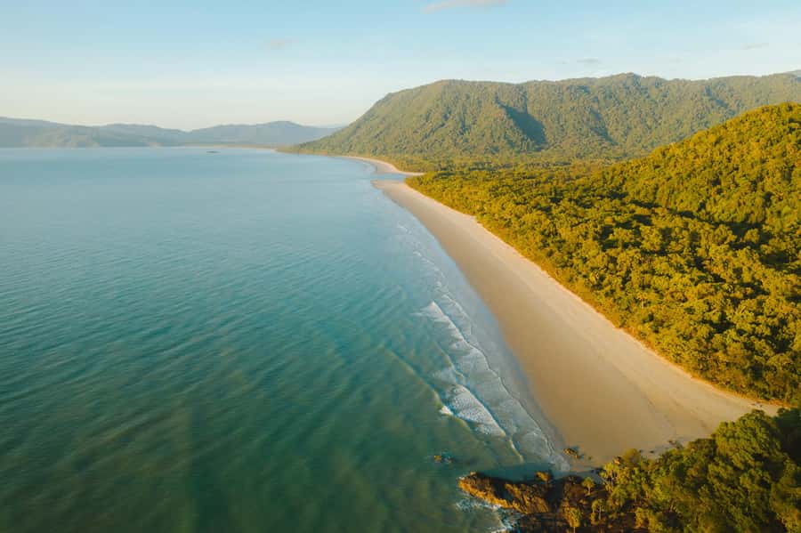 Cairns: Cape Tribulation, Mossman Gorge & Daintree Day Tour - Why this full-day route works