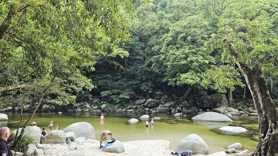 Cairns: Cape Tribulation, Mossman Gorge & Daintree Day Tour - Crossing the Daintree and heading to Cape Tribulation