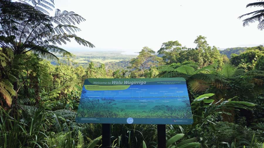 Cairns: Cape Tribulation, Mossman Gorge & Daintree Day Tour - Morning pickup and the coastal road