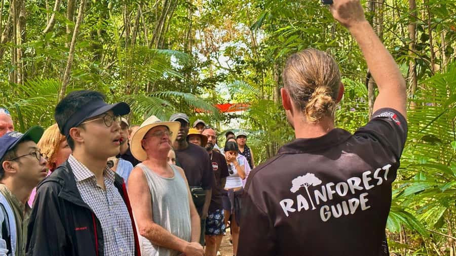 Cairns: Daintree Rainforest and Mossman Gorge Tour - Key points to know before booking