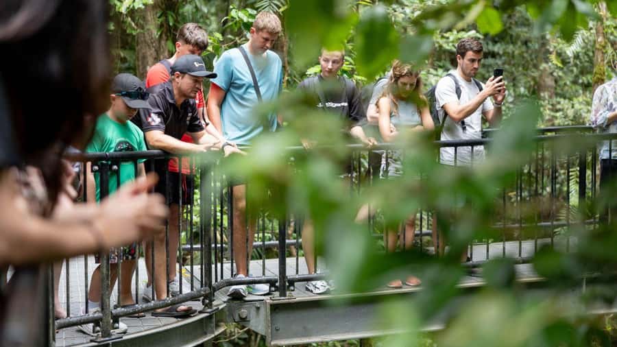 Cairns: Daintree Rainforest and Mossman Gorge Tour - Why this day trip covers so much of Far North Queensland