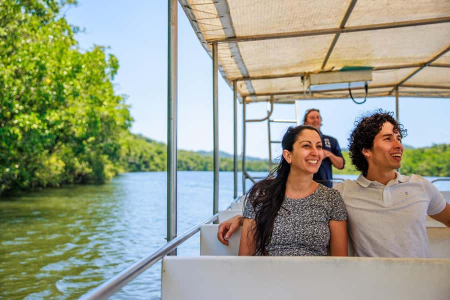 Cairns: Daintree Rainforest & Cape Tribulation Day Trip - Key points to know before booking