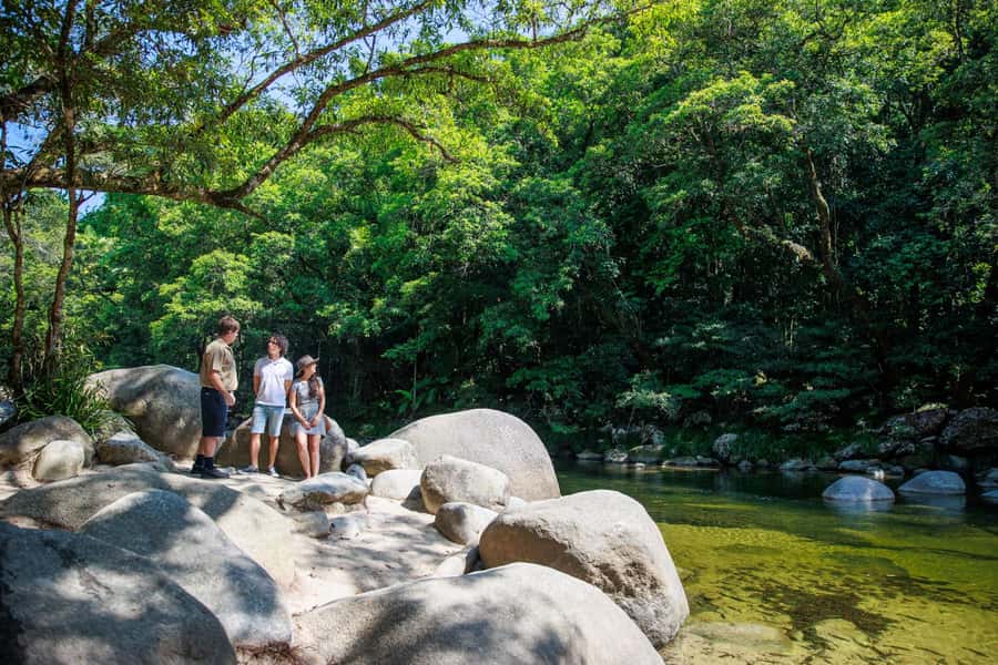 Cairns: Daintree Rainforest & Cape Tribulation Day Trip - The Daintree River cruise and its crocodile watch