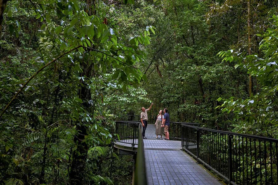 Cairns: Daintree Rainforest & Cape Tribulation Day Trip - The guides are a major part of the value