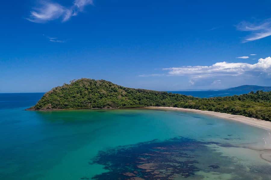 Cairns: Daintree Rainforest & Cape Tribulation Day Trip - Is $207 good value?