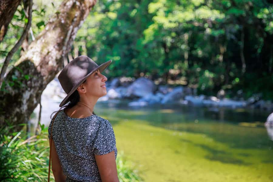 Cairns: Daintree Rainforest & Cape Tribulation Day Trip - Mossman Gorge: an easy start among ancient trees