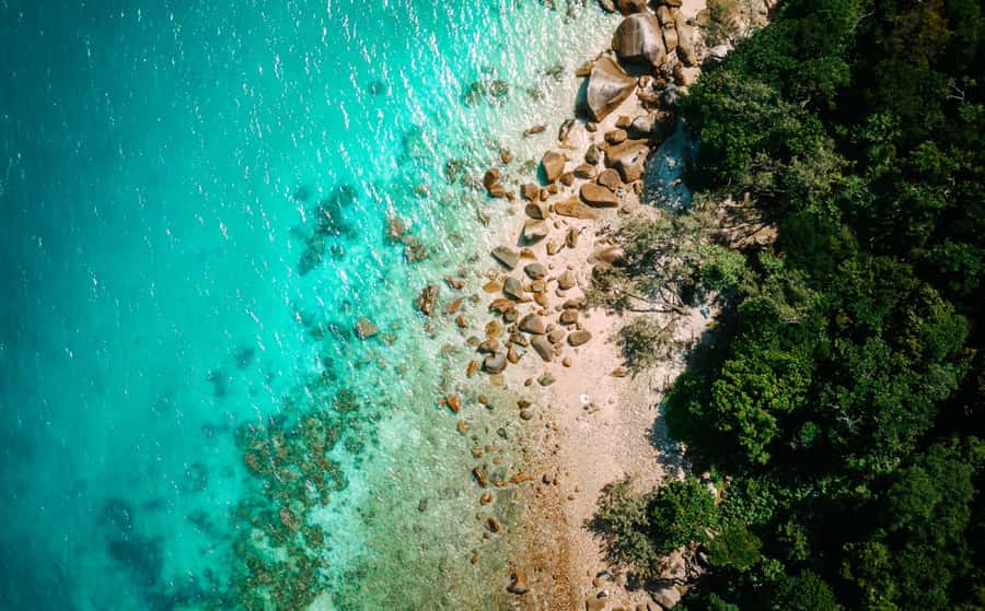 Cairns: Fitzroy Island Ferry with Optional Lunch & Activity - Four and a half hours to choose your own island day