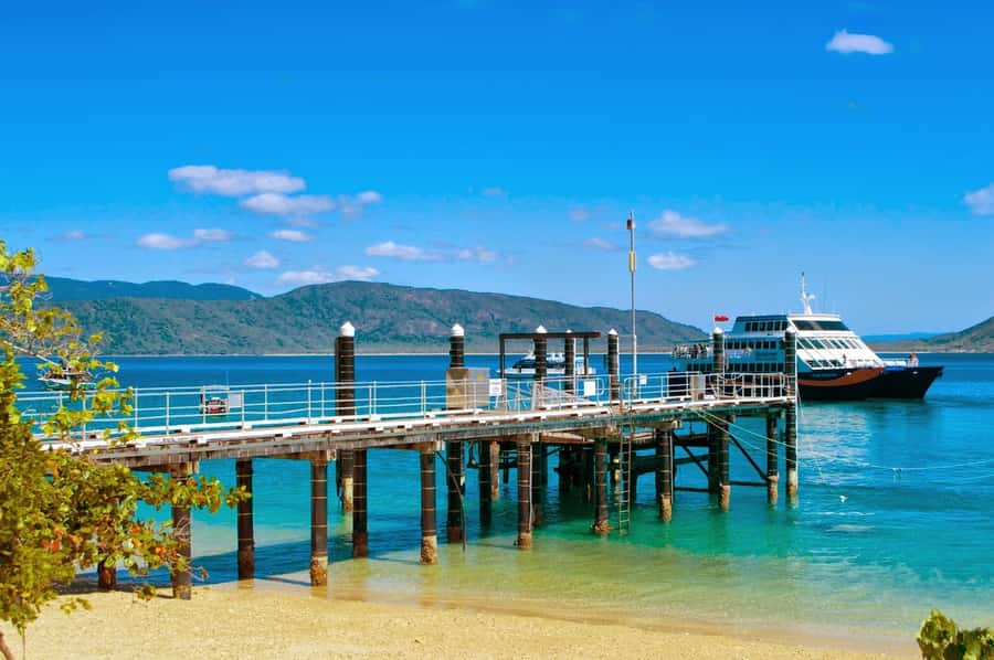 Cairns: Fitzroy Island Ferry with Optional Lunch & Activity - The glass-bottom boat option