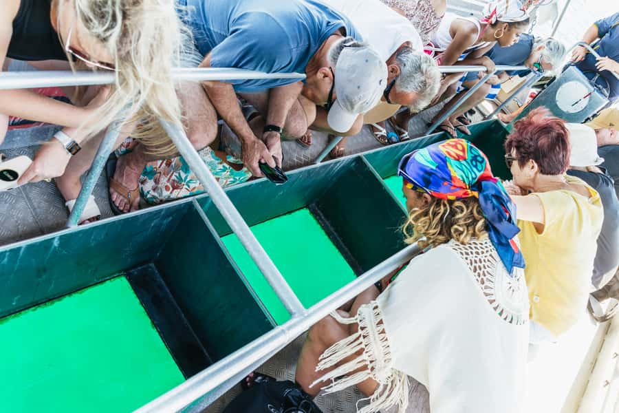 Cairns: Fitzroy Island Full-Day Trip with Optional Extras - Glass-bottom boat trips for an easier reef view