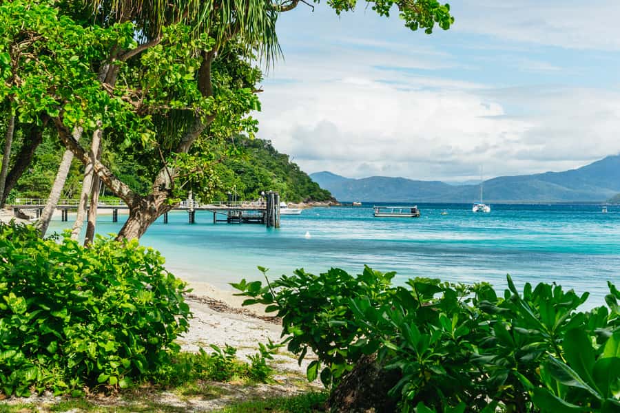 Cairns: Fitzroy Island Full-Day Trip with Optional Extras - The ferry ride and your seven hours ashore