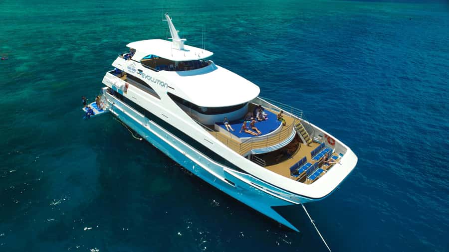 Cairns: Great Barrier Reef Cruise & Scenic Helicopter Flight - Saxon Reef gives you your first look underwater