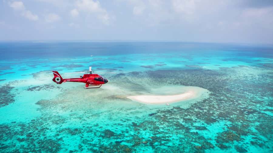 Cairns: Great Barrier Reef Cruise & Scenic Helicopter Flight - Hastings Reef is where the day reaches its peak