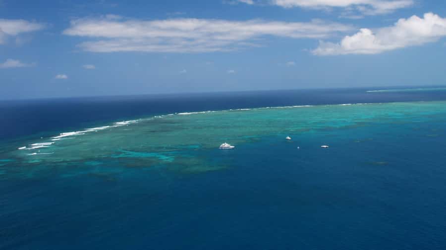 Cairns: Great Barrier Reef Cruise & Scenic Helicopter Flight - Who will enjoy this most?