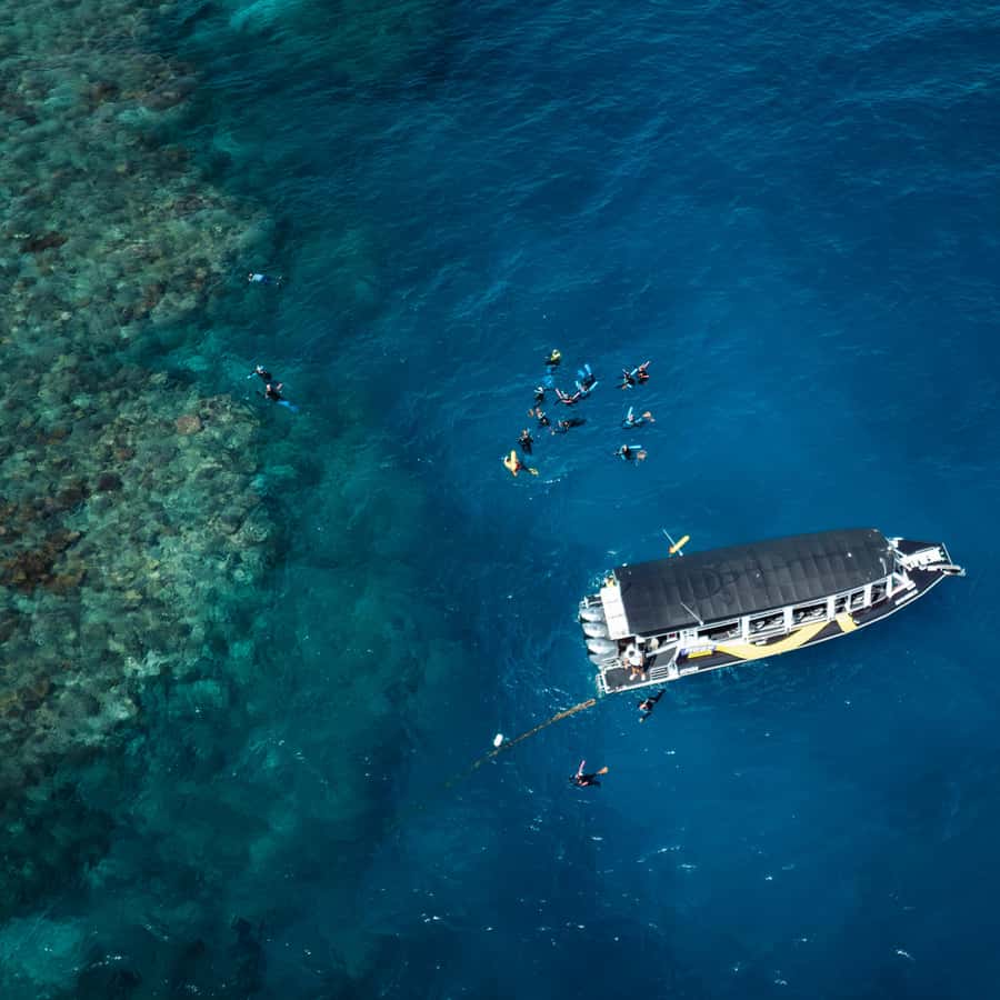 Cairns: Great Barrier Reef Half-Day Snorkelling Tour - About 1.5 hours of guided snorkelling