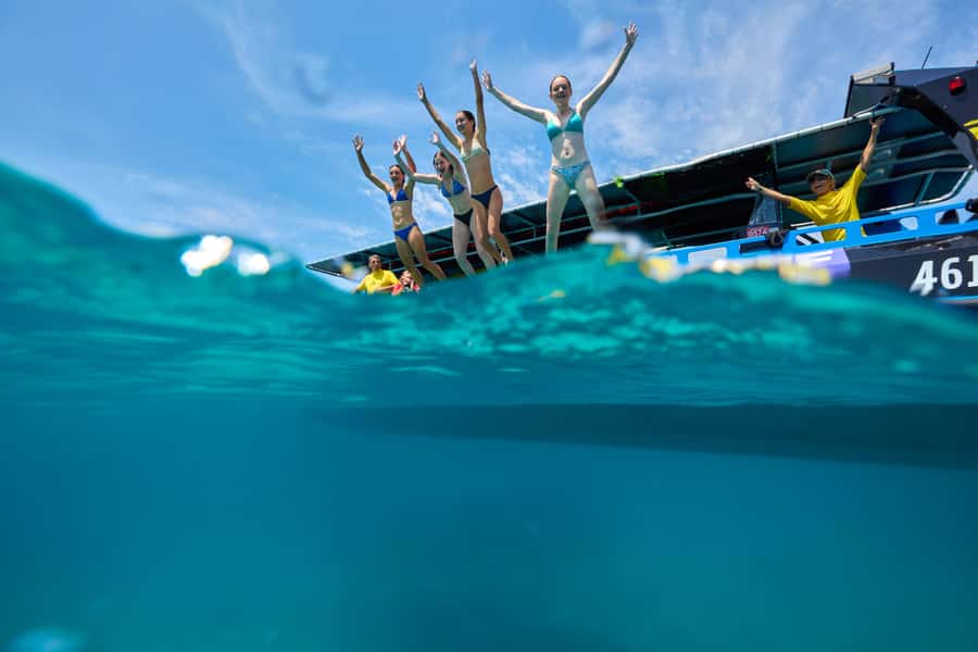 Cairns: Great Barrier Reef Half-Day Snorkelling Tour - What marine life might you see?