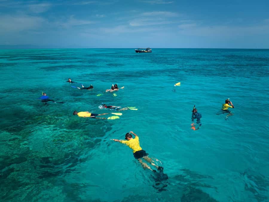 Cairns: Great Barrier Reef Half-Day Snorkelling Tour - Is $126 good value for a half-day reef trip?