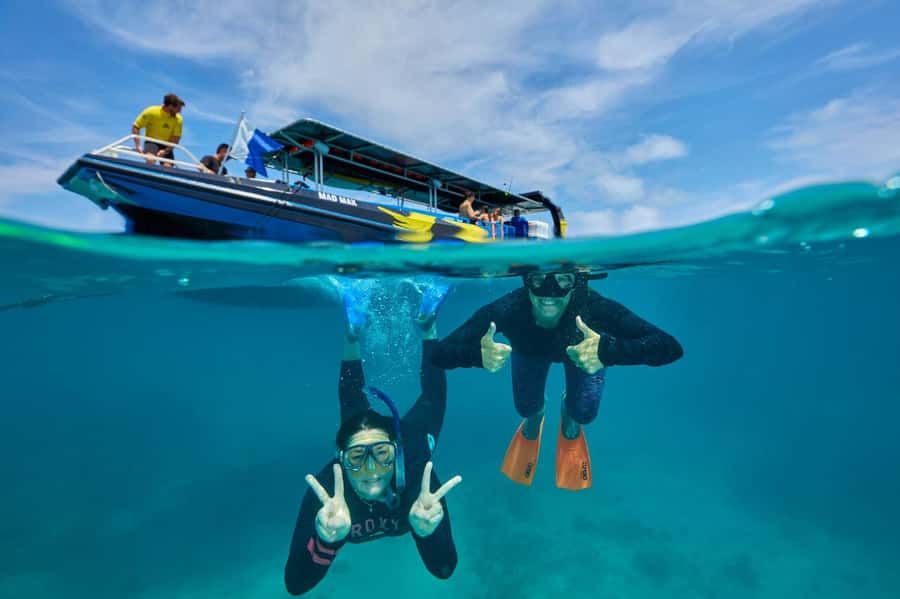 Cairns: Great Barrier Reef Half-Day Snorkelling Tour - Should you book this Cairns reef tour?