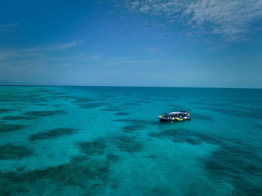 Cairns: Great Barrier Reef Half-Day Snorkelling Tour - Choosing between two reef locations