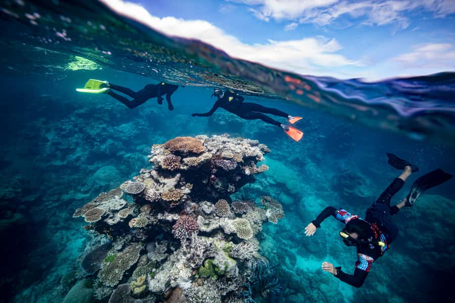 Cairns: Great Barrier Reef Premium Diving Full Day Tour - Who should choose this Cairns reef trip?
