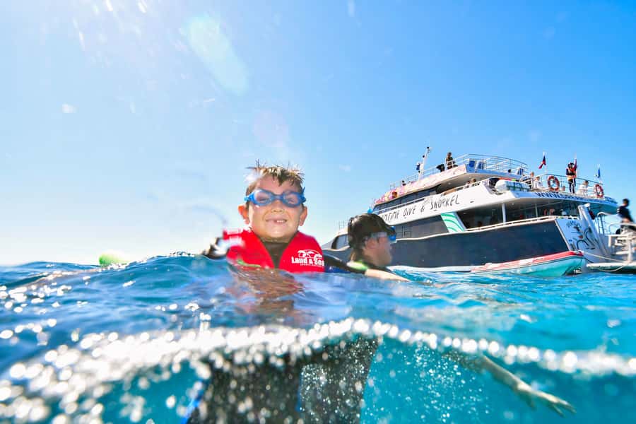 Cairns: Great Barrier Reef Premium Diving Full Day Tour - Snorkeling support for beginners