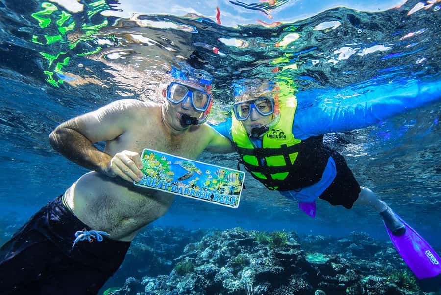 Cairns: Great Barrier Reef Premium Diving Full Day Tour - A boat day with useful breaks