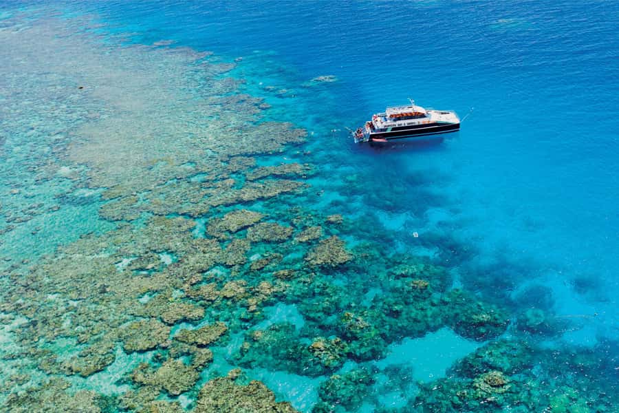 Cairns: Great Barrier Reef Premium Diving Full Day Tour - The Indigenous story of the reef
